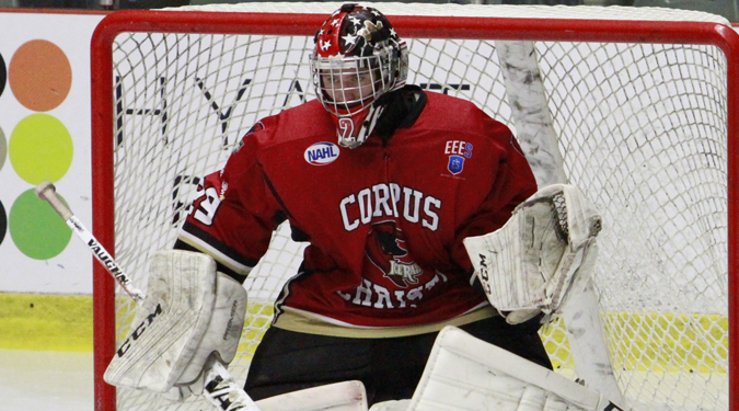 ICERAYS COME JUST SHORT, ELIMINATED IN 1-0 OT LOSS