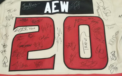 CHARITY AUCTION FOR CUSTOM ICERAYS JERSEY SIGNED BY STARS OF ALL ELITE WRESTLING