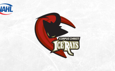 ICERAYS MAKE COACHING CHANGE