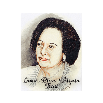 Lamar Bruni Vergara Foundation