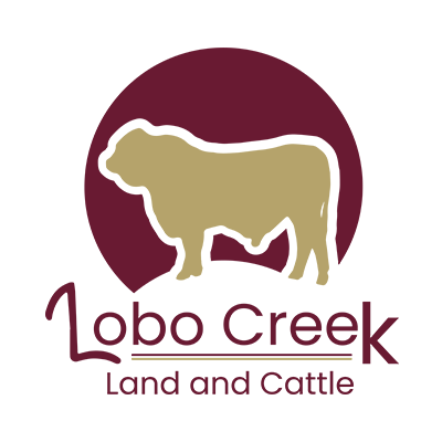 Lobo Creek