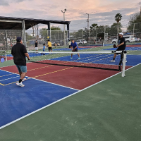 Fields & Courts