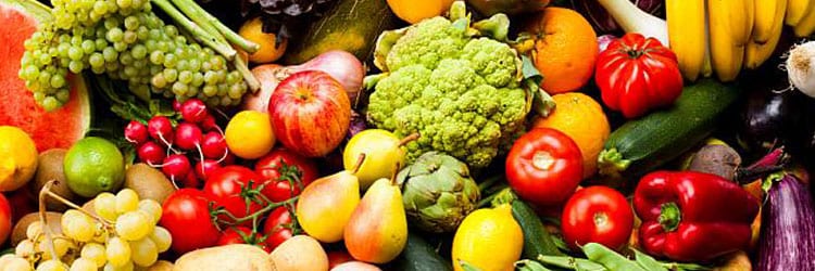 750x250 Doc Blog Nutrtion