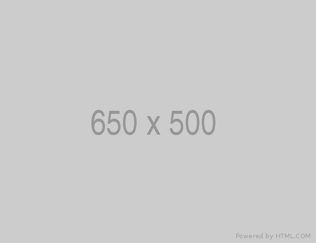 650x500